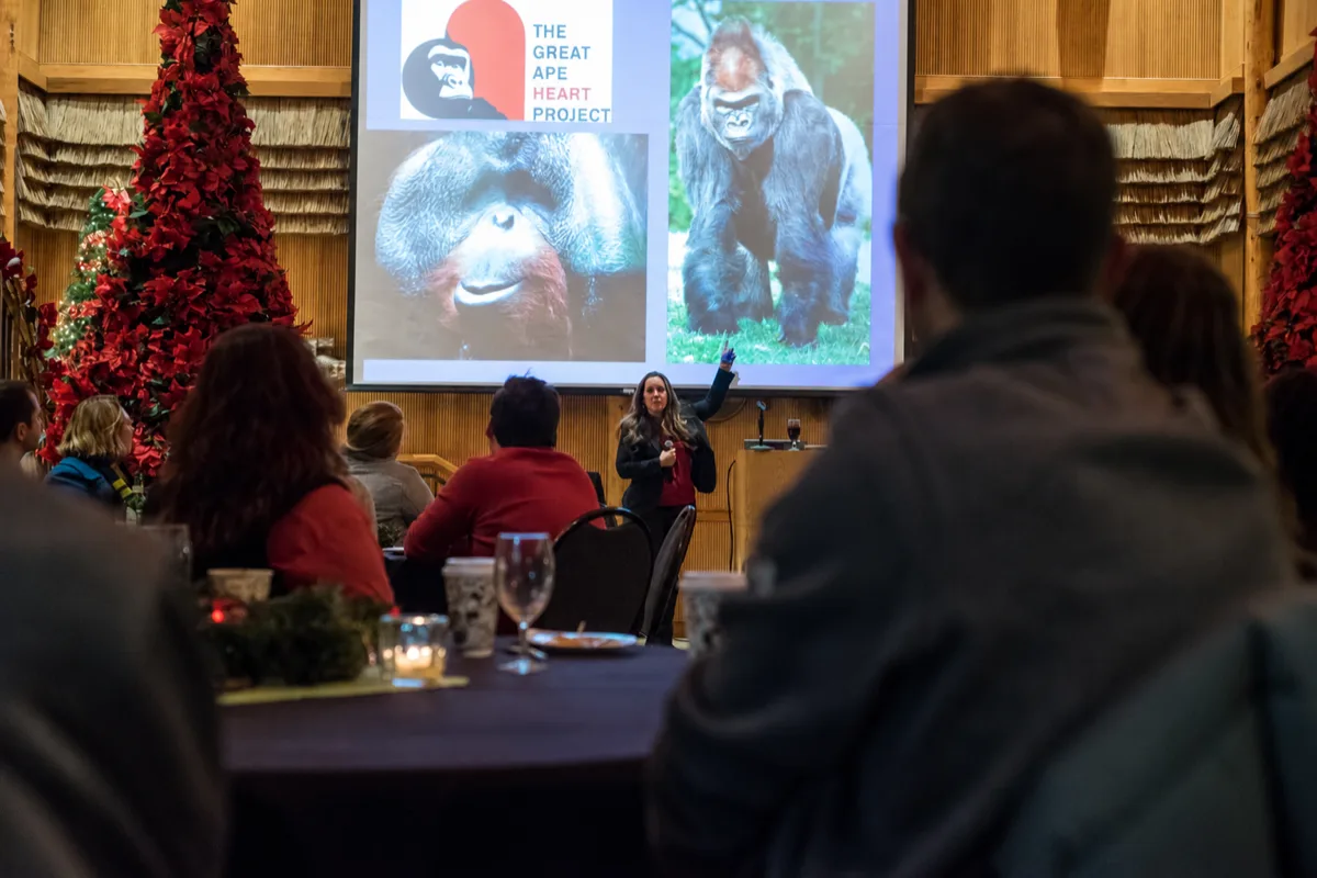 The room mid-presentation at an evening event, shot on ICON